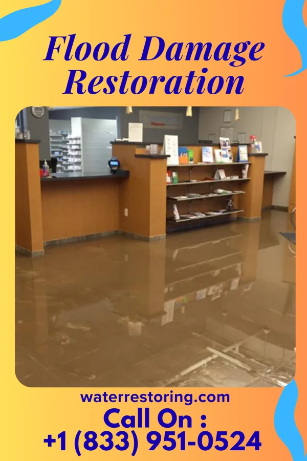 Flood Damage Restoration in Martindale, TX