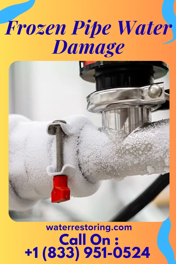 Frozen Pipe Water Damage in Martindale, TX